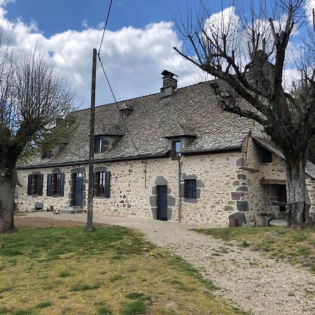Maison Typique Auvergnate, Piscine Et Four A Pain Saint-Christophe-Les-Gorges Luaran gambar