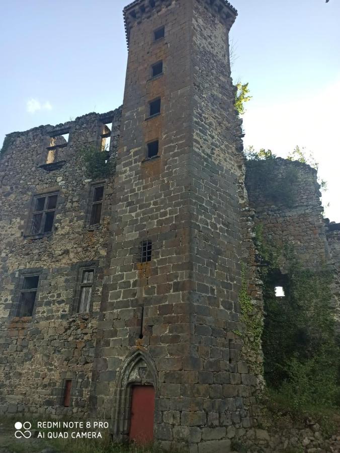 Maison Typique Auvergnate, Piscine Et Four A Pain Saint-Christophe-Les-Gorges Luaran gambar
